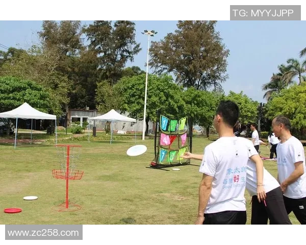 飞盘运动的魅力与挑战：深入探讨重庆飞盘队的耐力训练与发展之路